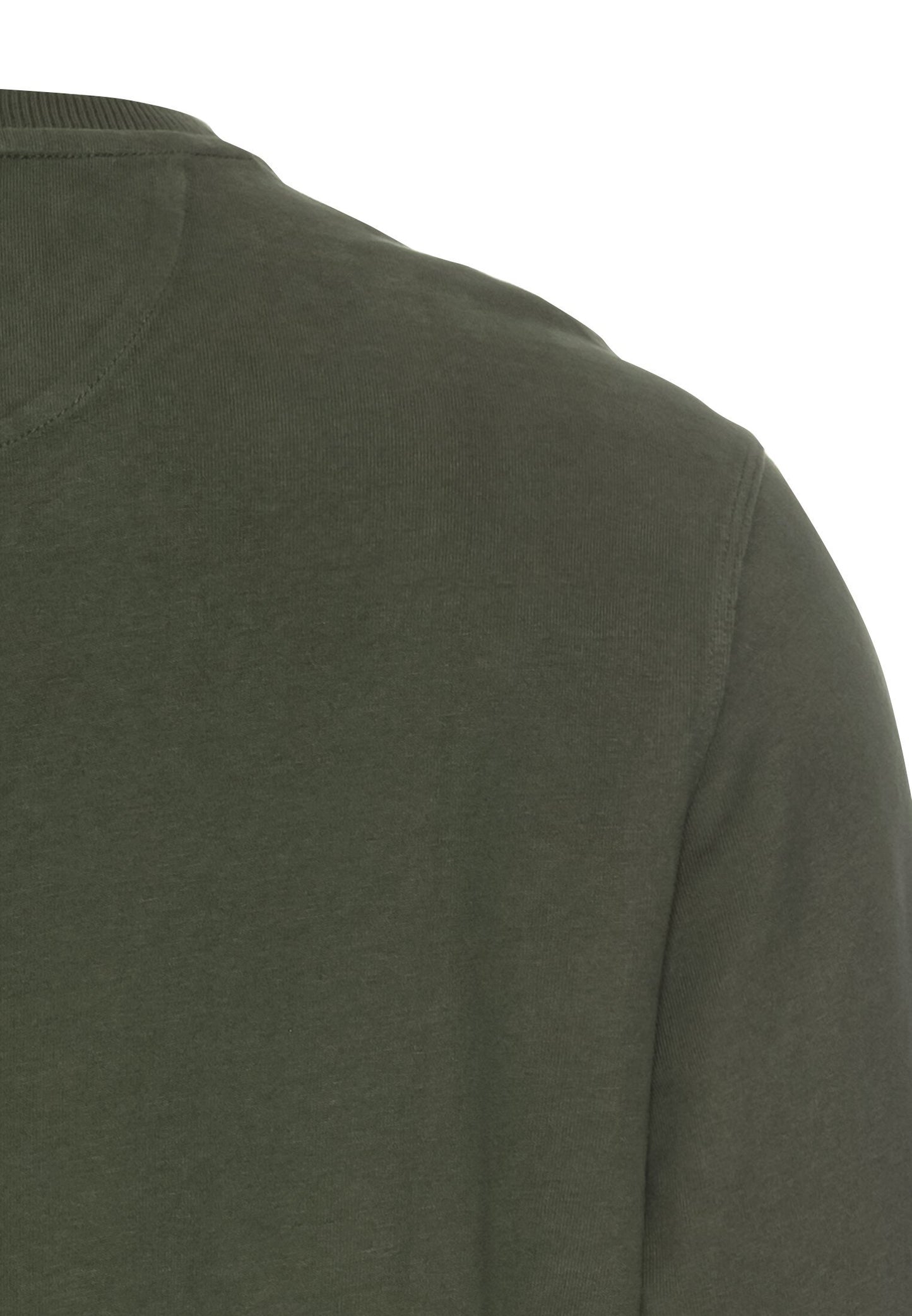 Langarm Henley aus Organic Cotton (Leaf Green)