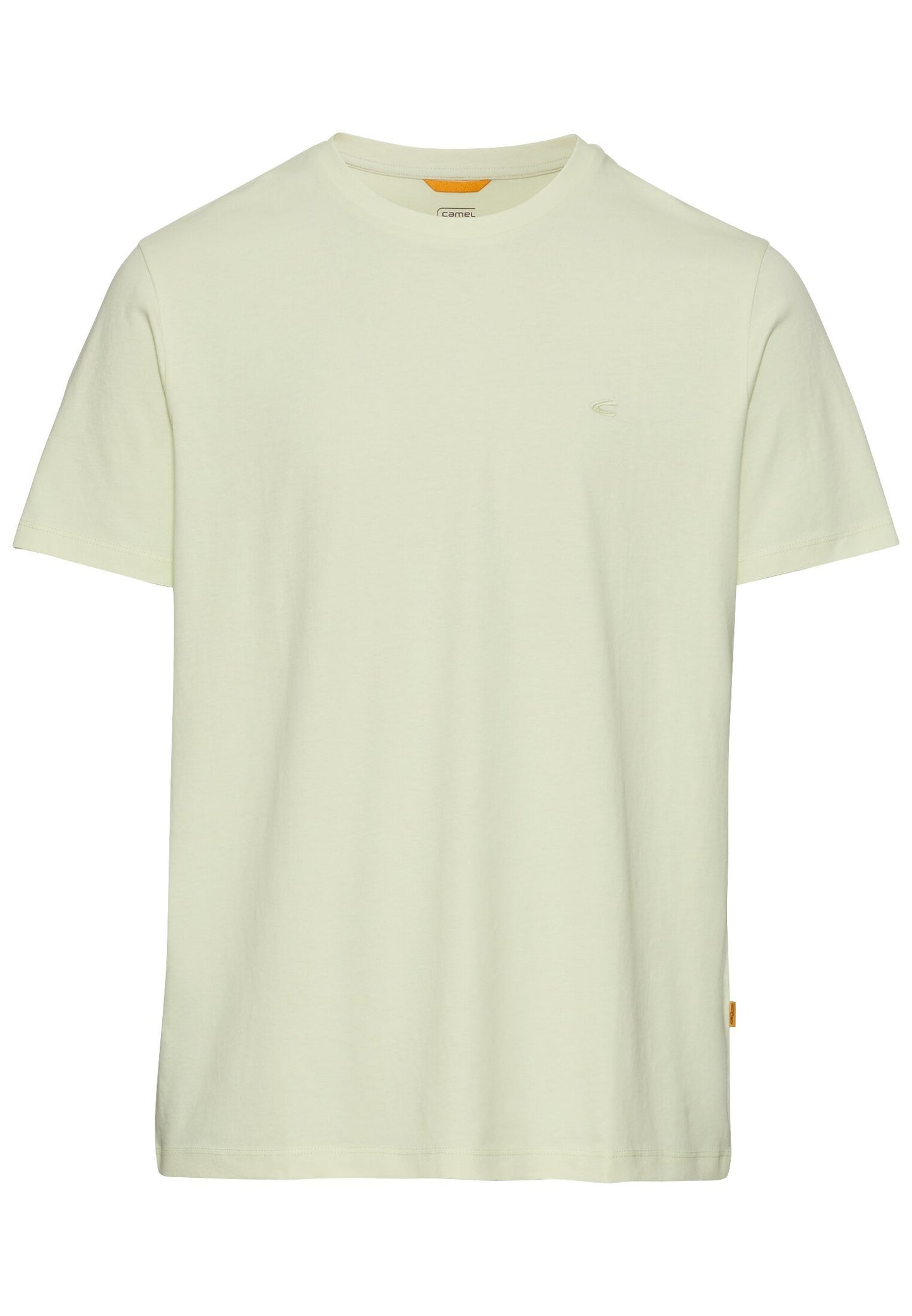 Basic T-Shirt aus reiner Baumwolle (Pale Mint)