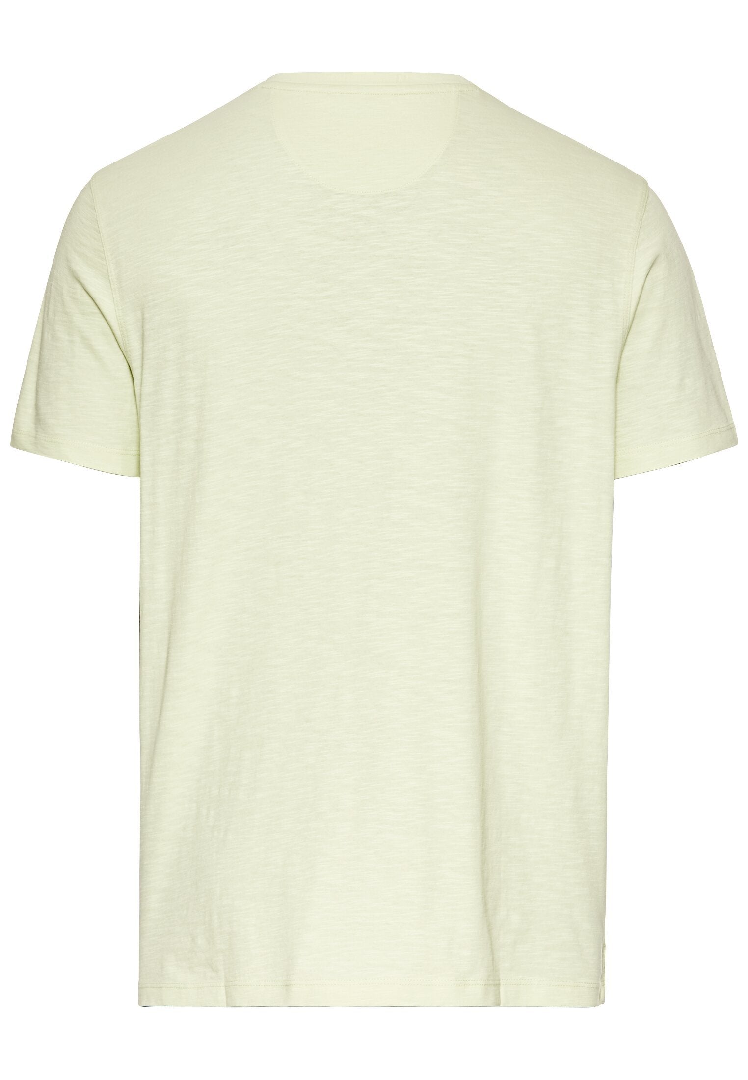 Kurzarm Henley aus Organic Cotton (Pale Mint)