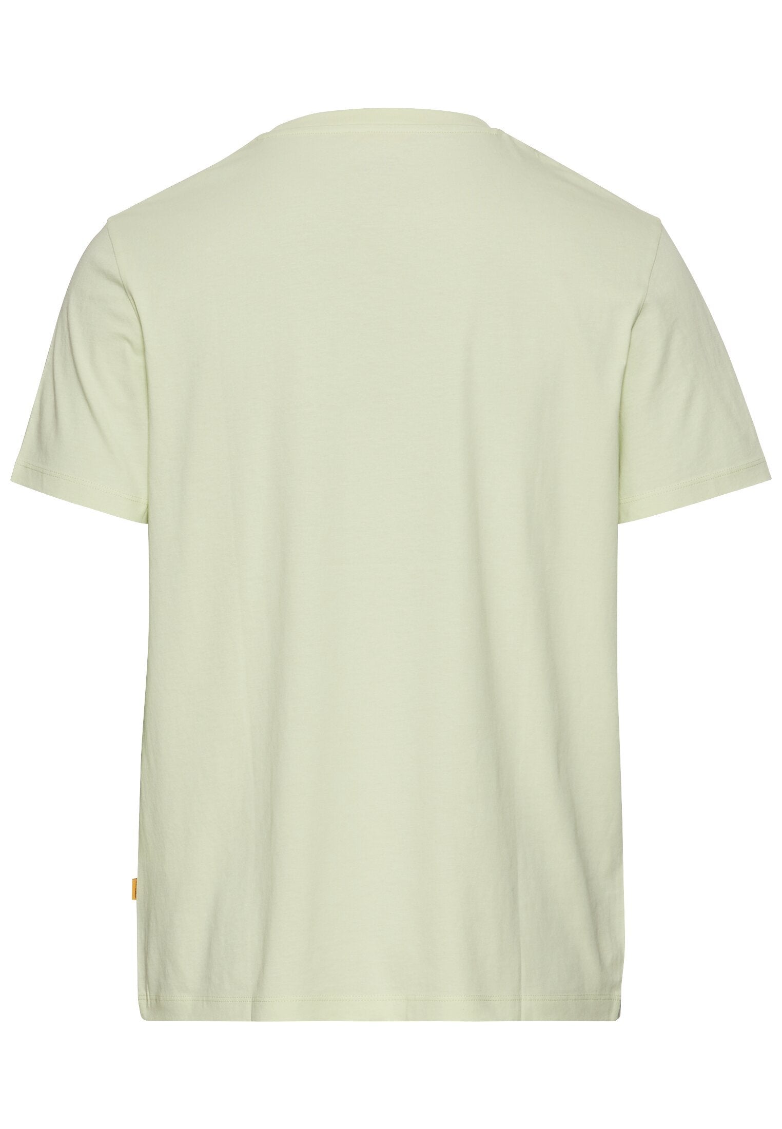 Basic T-Shirt aus reiner Baumwolle (Pale Mint)