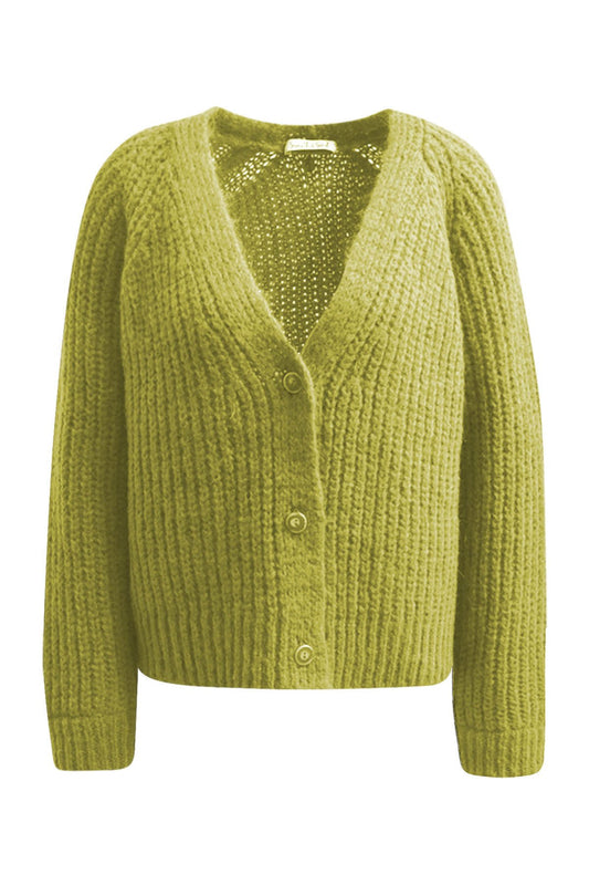 Hairy Raglan Cardigan (Pistachio)