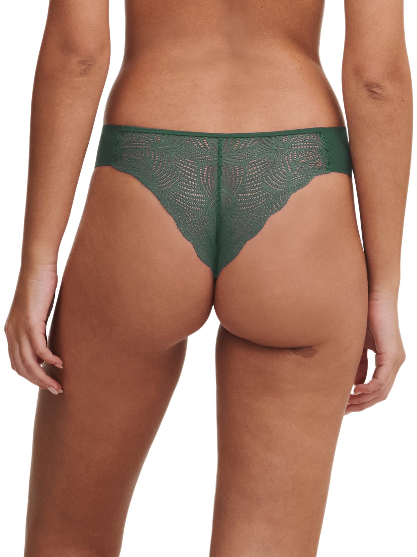 SOFTSTRETCH Tanga mit Spitze (00r Empire Green)