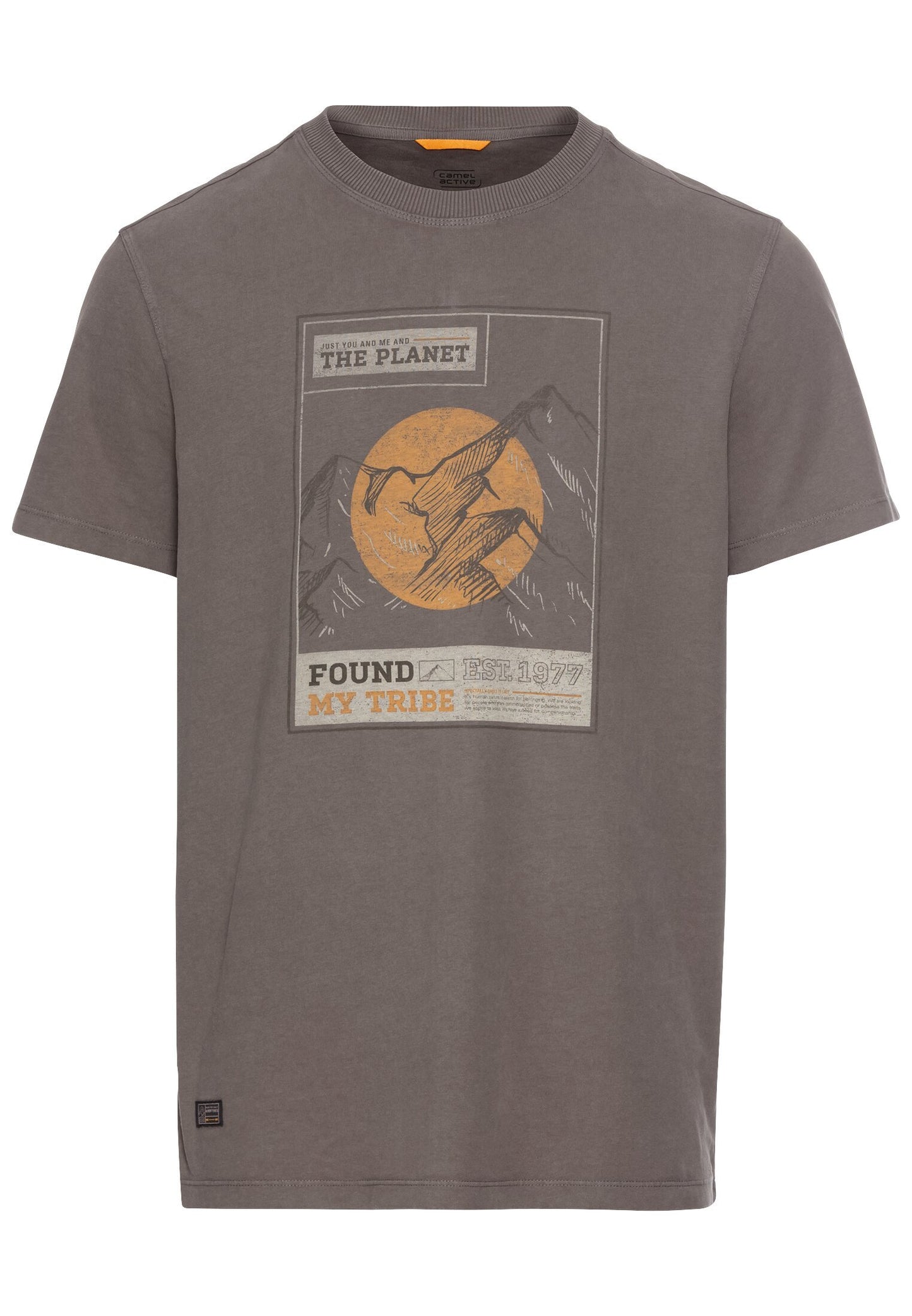 T-Shirt mit Print aus nachhaltigem Organic Cotton (Rock Grey)