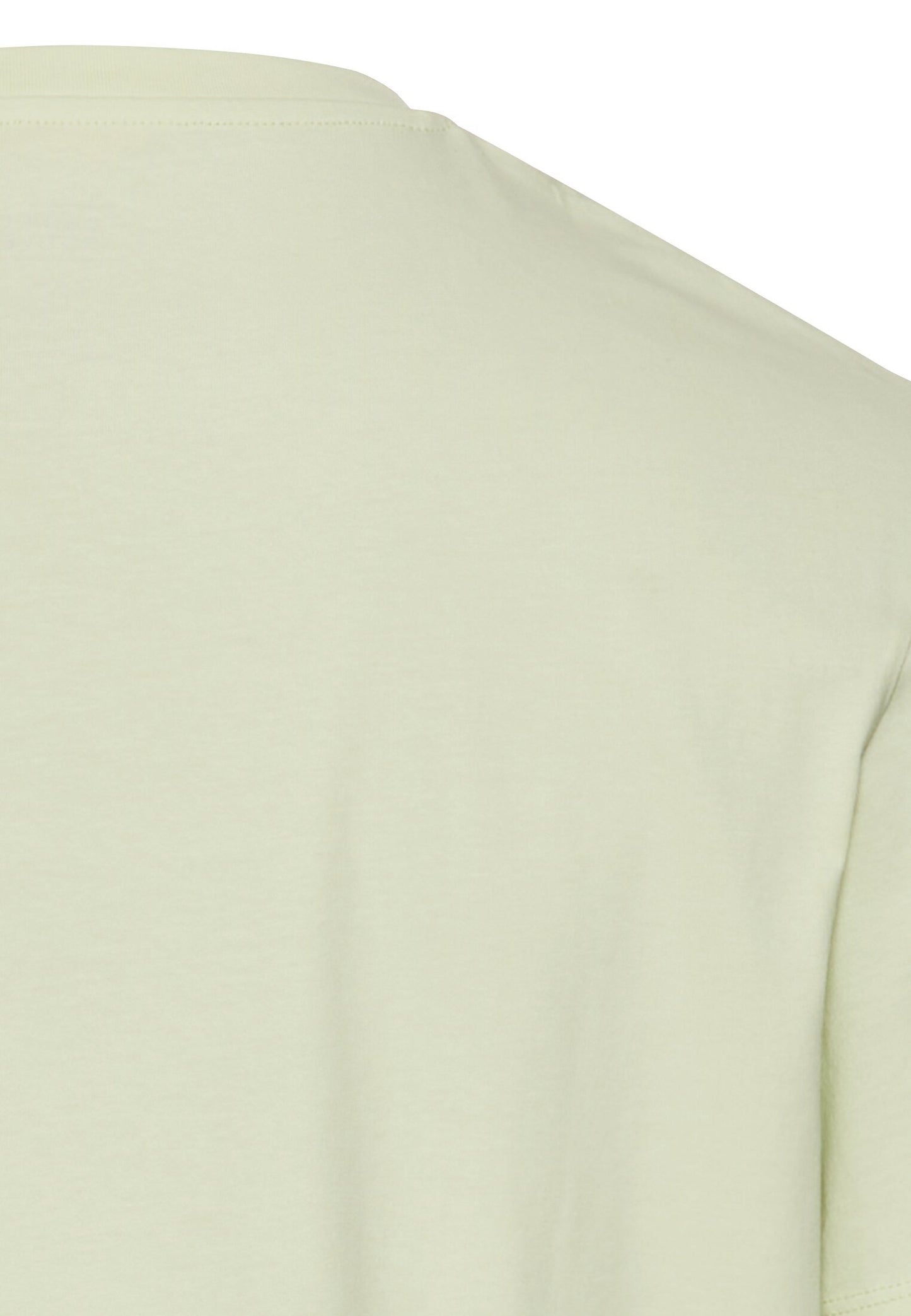 Basic T-Shirt aus reiner Baumwolle (Pale Mint)