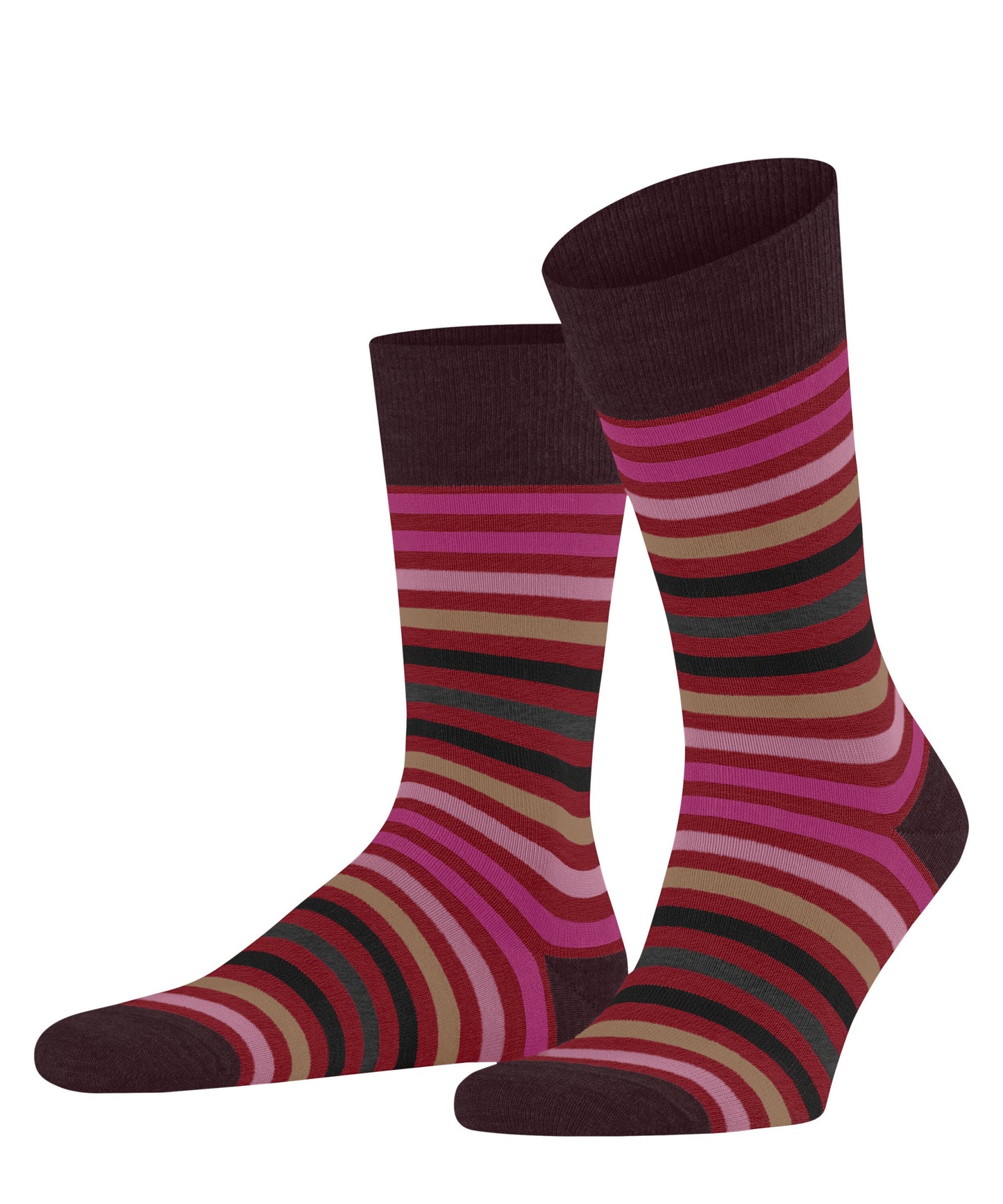 FALKE Tinted Stripe Herren Socken (Ingle)