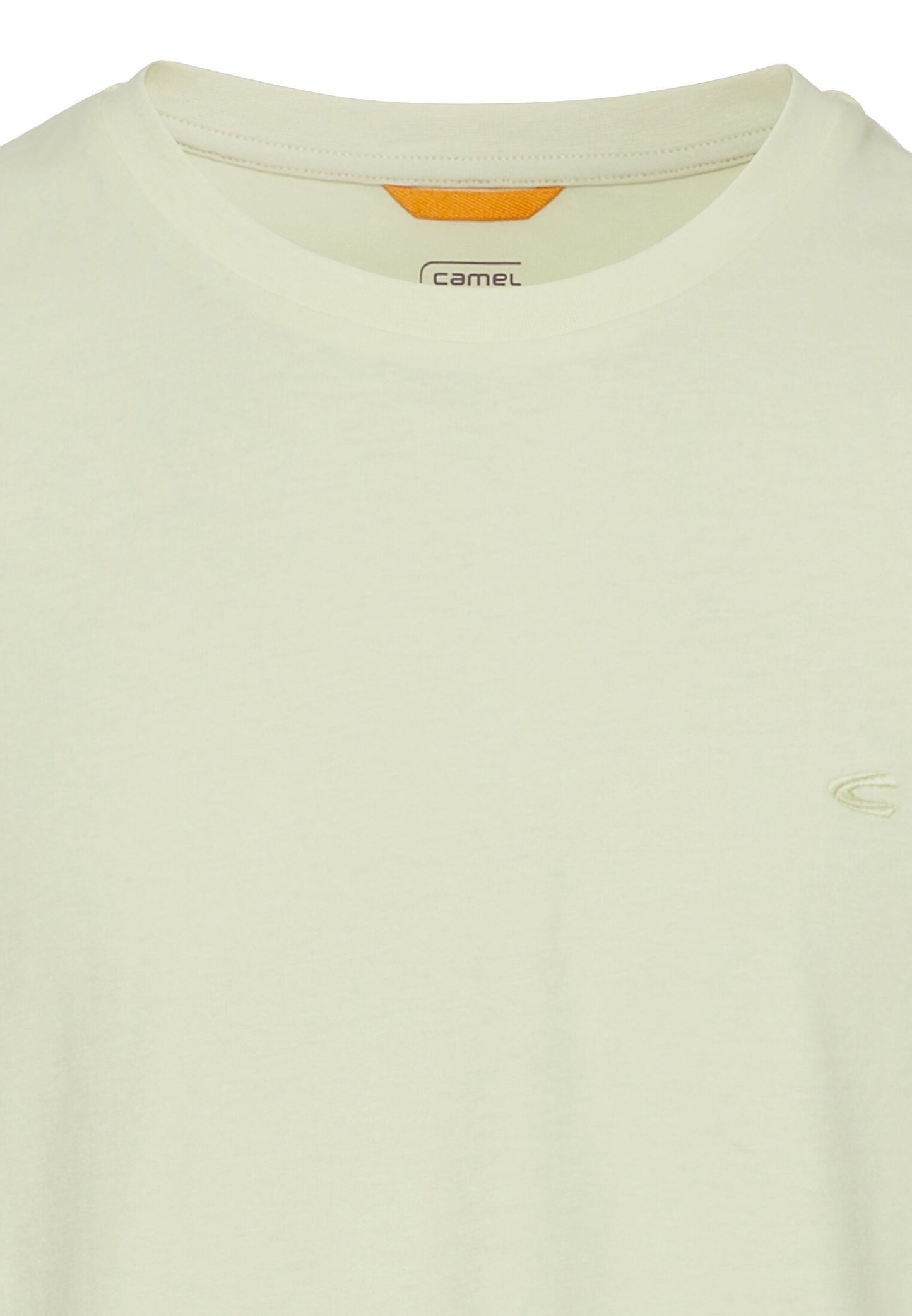 Basic T-Shirt aus reiner Baumwolle (Pale Mint)